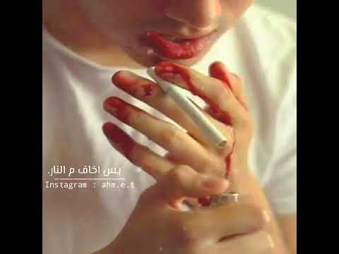 برشامه منوم احنا بتوع اغاني يشخنا حالات واتساب عمار حسني