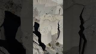 Hongos Blancos Tocota - San Juan - Argentina