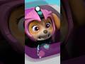 Скай объединяется со своей кузиной — щенком‑русалкой! | Nick Jr. Cyrillic