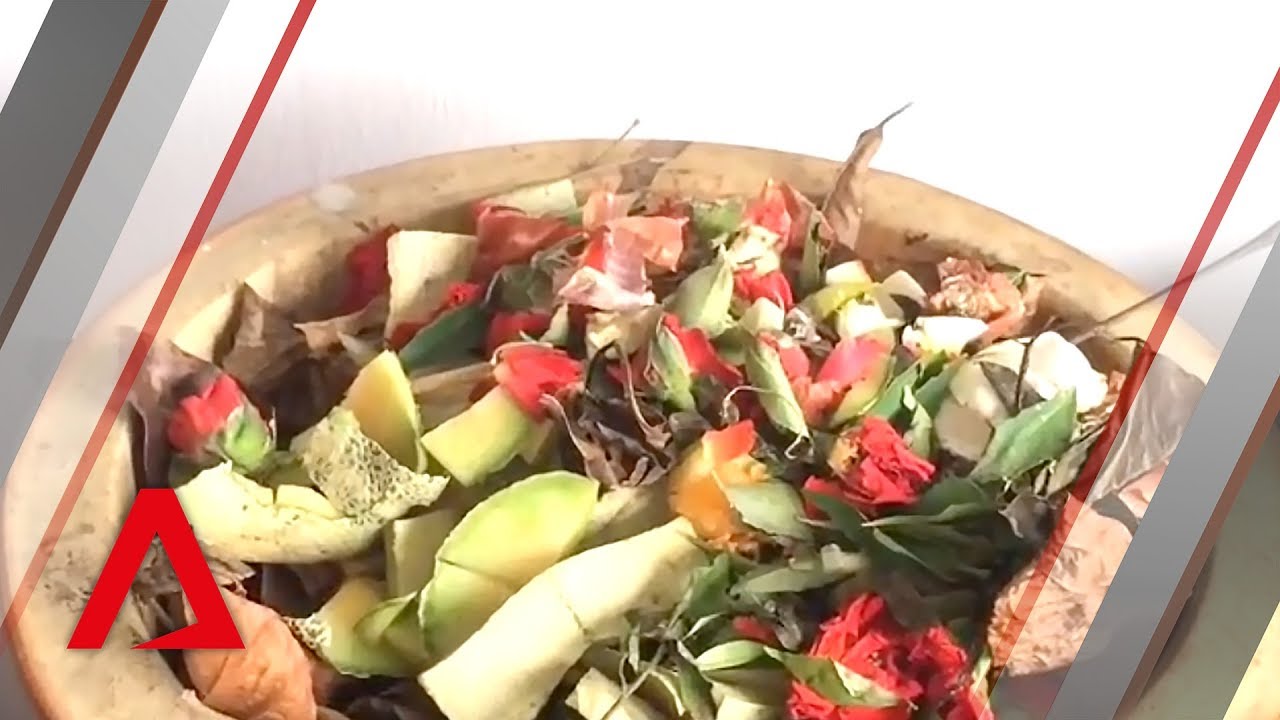 How to recycle raw food waste YouTube