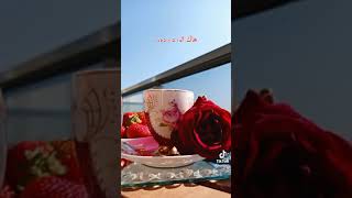 حالات واتس اب / يلي تبيع الورد 🌹🌷هاك الورد رده...