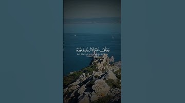قران كريم☘️🤍 سورة:التوبة🌿 القارى: ياسر الدوسري🤎🌿