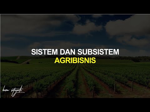 Video: Apakah subsistem keluarga?