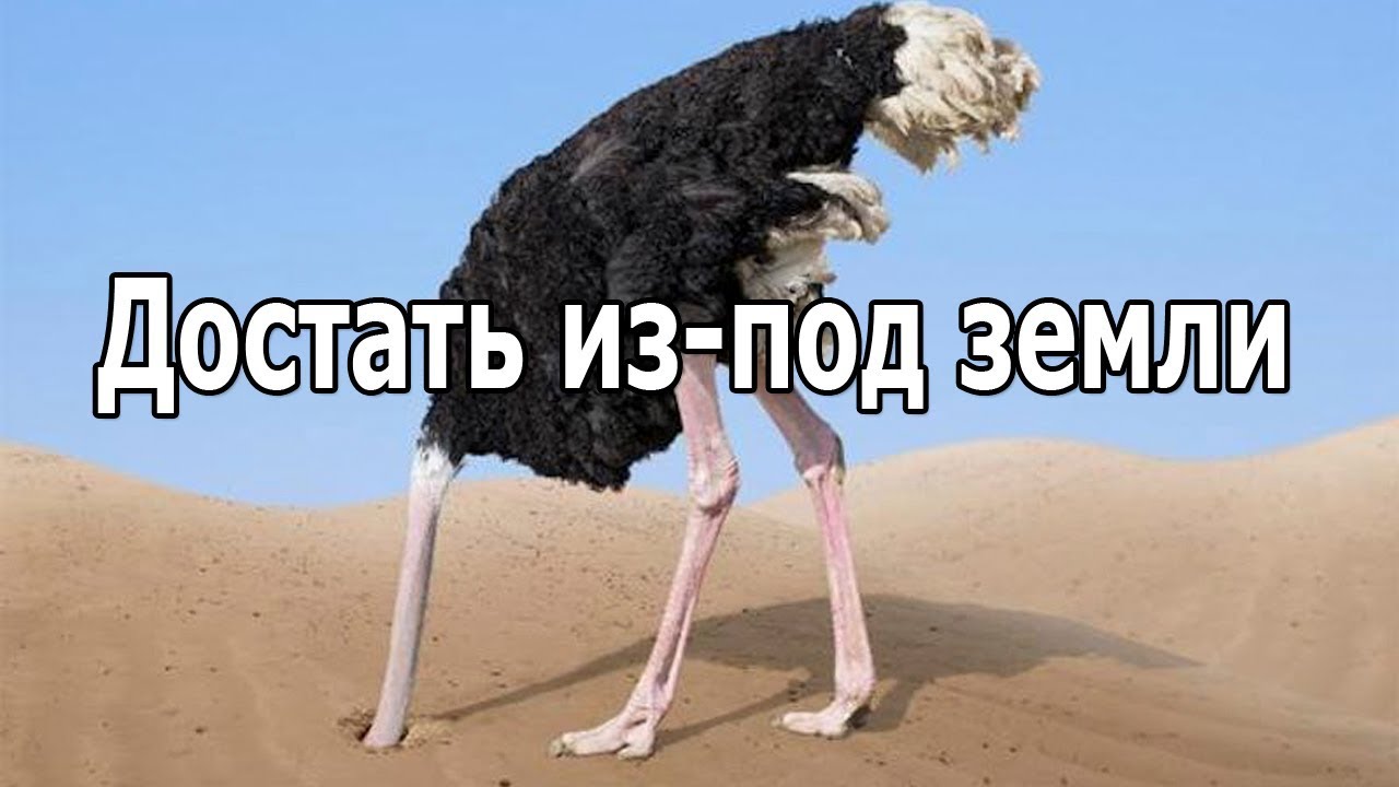 фразеологизм из под земли. как из под земли вырос фразеологизм. фразеологизм из под земли. провалится сквощь землю. фразеологизм из под земли.