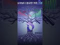 파이 네트워크 상장설보다 중요한 것, 인터링크 네트워크 생태계