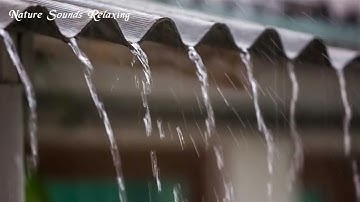 Nghe thử 1 phút là ngủ liền thẳng cẳng  với tiếng Mưa rơi  Lộp độp  trên mái nhà lợp tôn