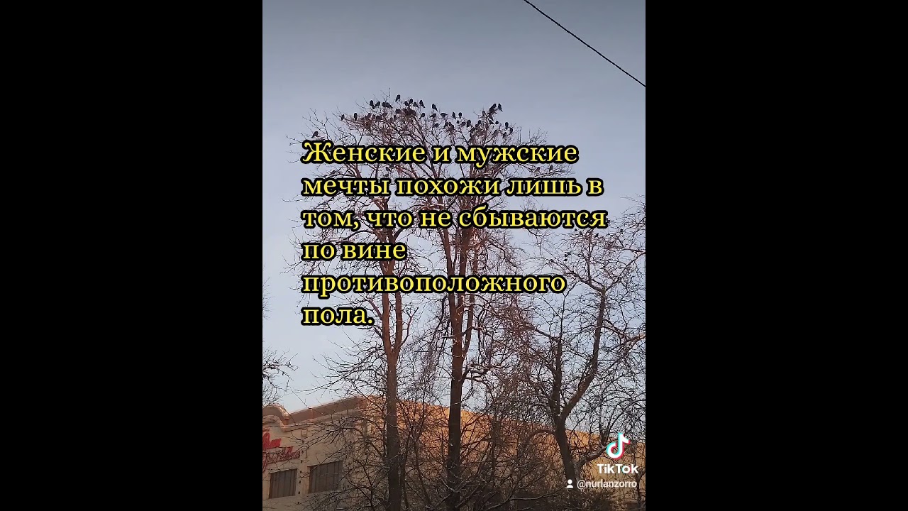 Мудрые высказывания