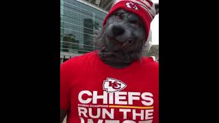 K.c Wolf Football Stadium