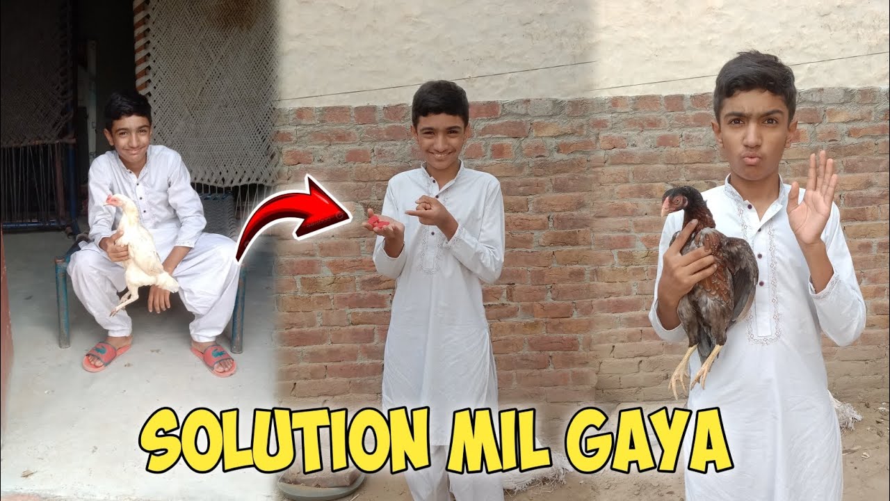 Toheed Ustad Solution mil gaya parr khane ka or ||toheed ustad ban raha 😂 #vlog ...