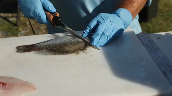 How to filet a crappie