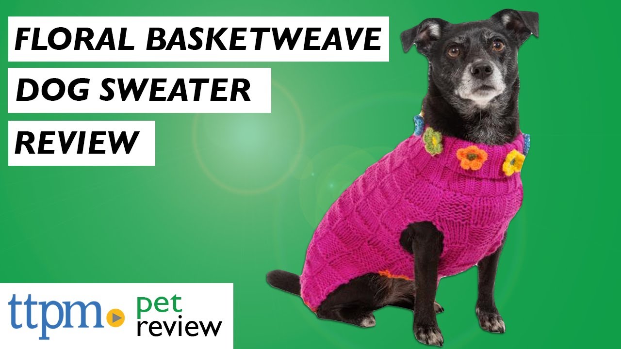 How Should A Dog Sweater Fit