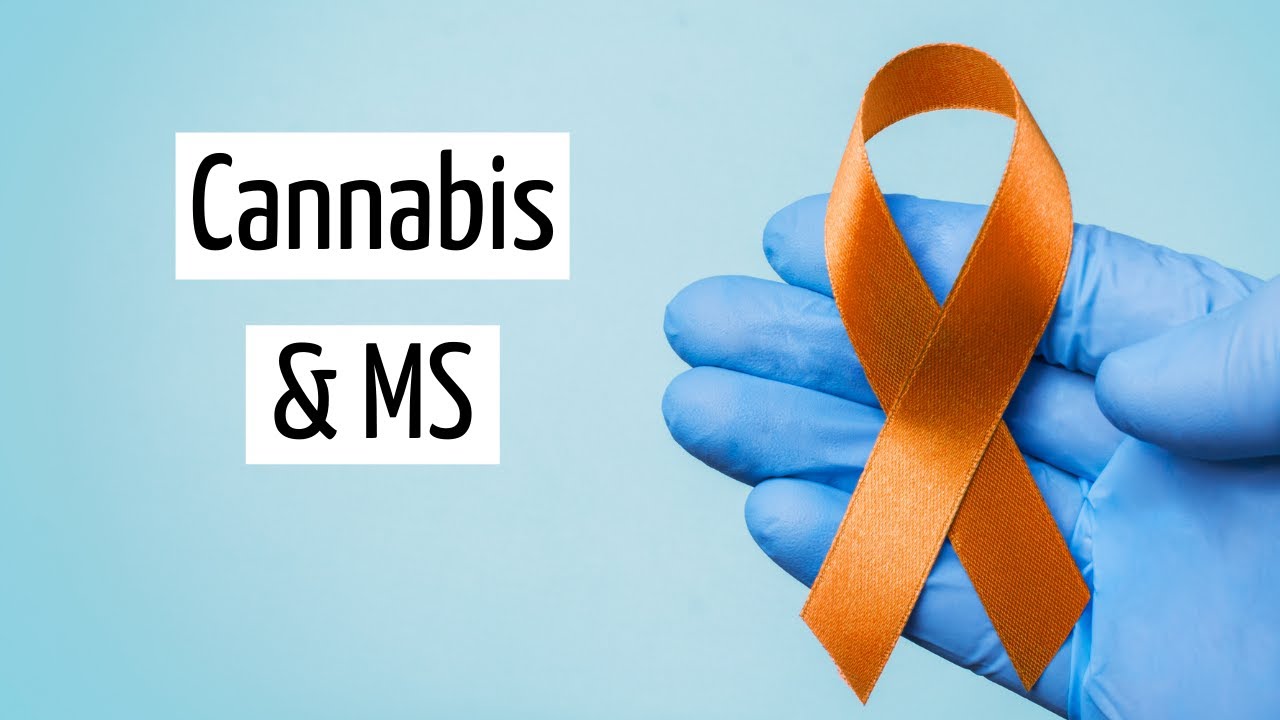 Medical Marijuana for Multiple Sclerosis | Discover Marijuana