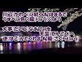 桜龍 ~さくらりゅう~ /山本譲二 カラオケ(♭1)