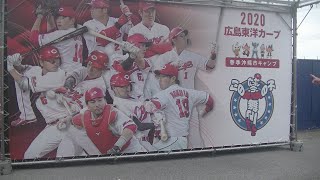カープ打線爆発‼2020.沖縄キャンプ練習試合.阪神タイガースvs広島カープin宜野座