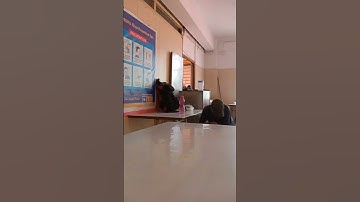 GOING TO LIC ADO INTERVIEW 13 JUNE 2023😥#shorts