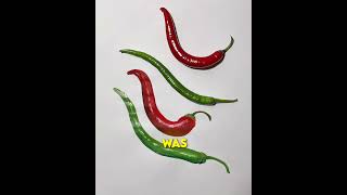 This Artist Makes Art That Looks Real