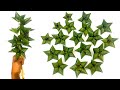 Star Flower | Green Flower | Coconut Leaf Decoration | Natural Decoration Ideas