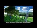 Youtube Quang Cao Sua Vinamilk 2012 Nay Ban Than Yeu Oi 