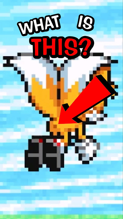 The Pixel in Sonic Advance 3 You Never Noticed!