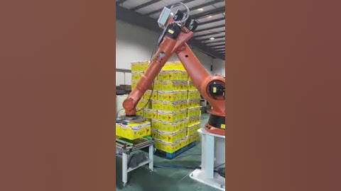 Robotic palletizer palletizing automatic packaging line
