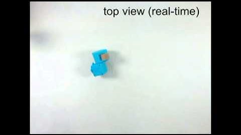 Morphological Evolution of Physical Robots: Fitness Evaluation