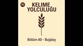 Buğday Nedir? Etimoloji, Psikoloji, Mitoloji, Tasavvuf Ve Felsefe - Kelime Yolculuğu 40