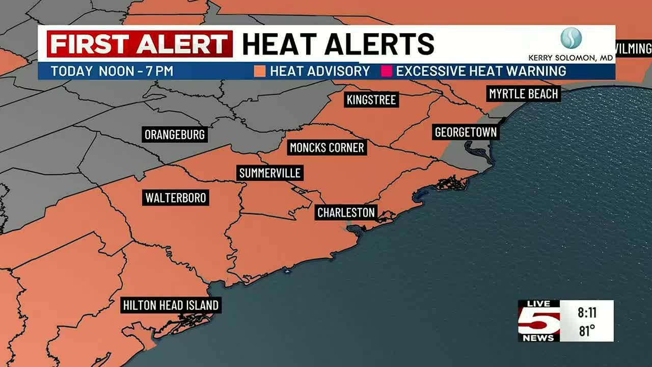 VIDEO: LIVE 5 ALERT DESK: Heat advisory issued for Lowcountry Monday ...