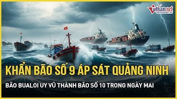 KHẨN: Bão số 9 Ragasa áp sát Quảng Ninh, bão Bualoi uy vũ cuồn cuộn thành bão số 10 trong ngày mai
