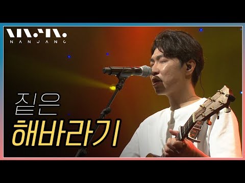 짙은 해바라기 Real Music 난장