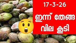    17326    Green Coconut  Kerala Market 