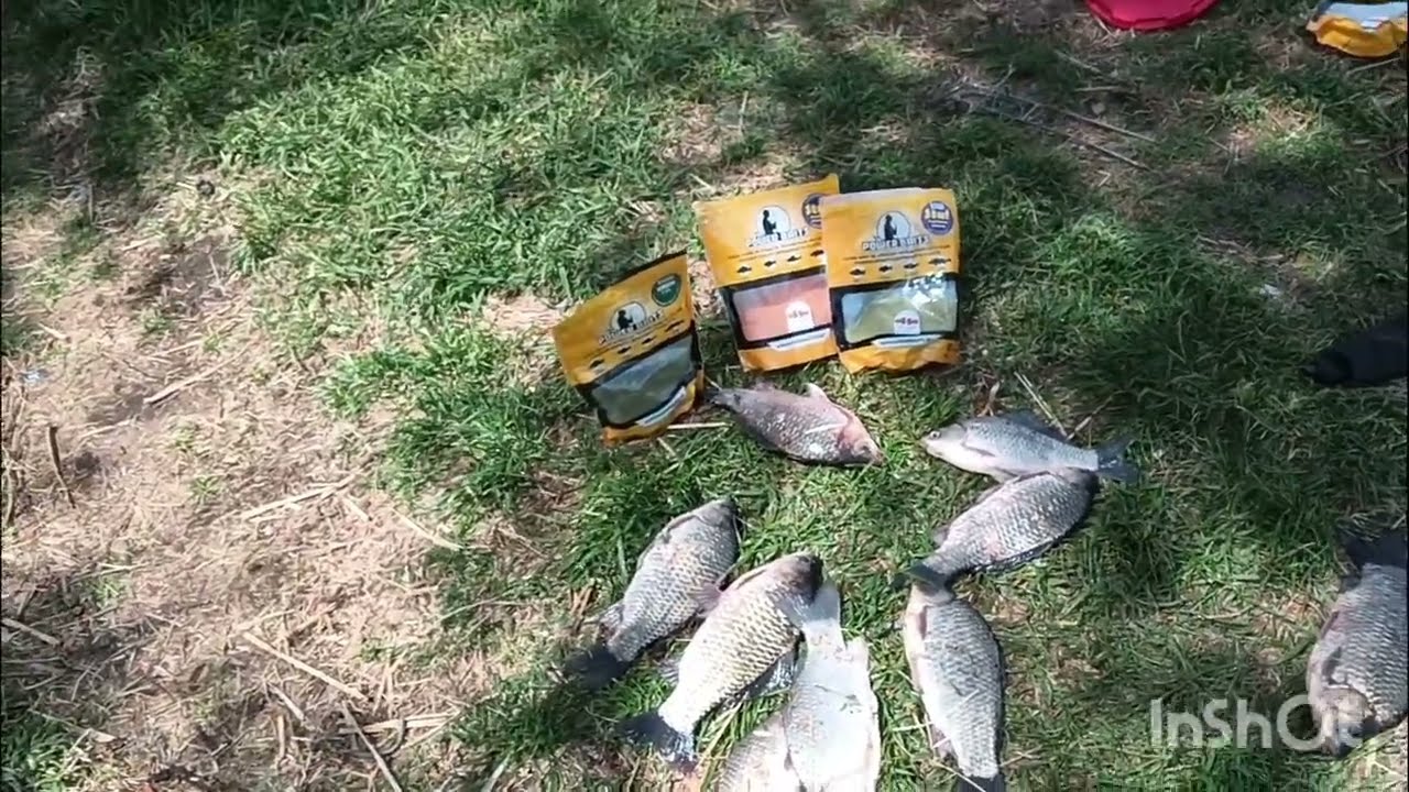 Am prins peste 15 kg de caras si ciortan in 2 ore.Balta Ferma Insuratei