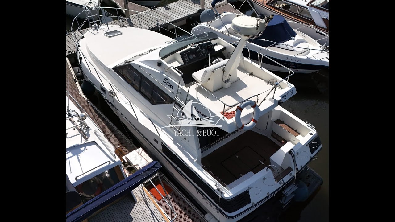 Birchwood TS 33 zu verkaufen