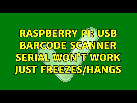 Raspberry Pi: USB Barcode Scanner Serial won't work just freezes/hangs