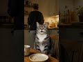 Sonntagabend. Kopf macht Sitzung.