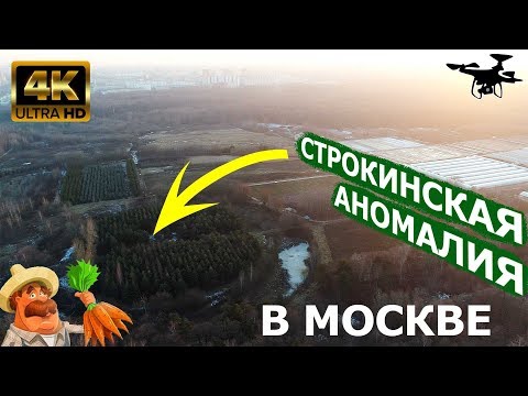 Video: Anomali Wilayah Moscow: Pokrovka - Pandangan Alternatif