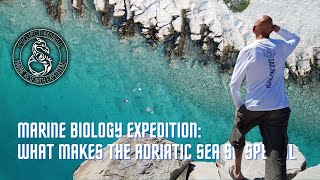 Simple Marine Biology lecture - Adriatic Sea: Why it is special