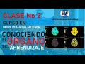 CONOCIENDO EL ORGANO DEL APRENDIZAJE - C2M1