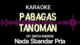 Pabagas tanoman karaoke || Nada standar pria || Cipt. Soritua Manurung || Karaoke pabagas tanoman