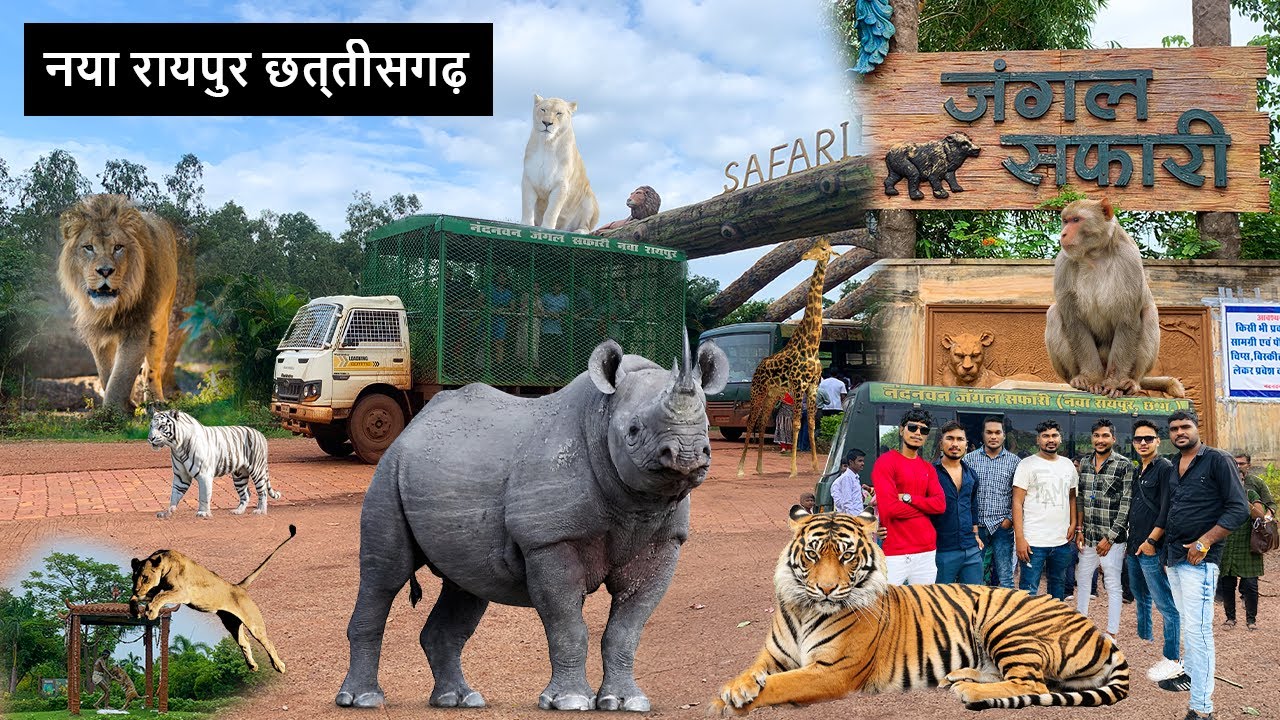 jungle safari raipur review