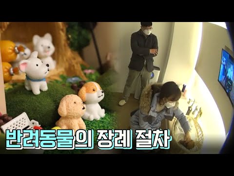 무지개다리를 건넌 반려동물을 추모하는 &amp;#39;납골당&amp;#39;