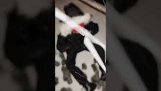Снегурочка в эфир 🤣 #снег #снегурочка #я #рекомендации #погода #баку #россия
