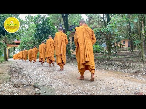 Alms Round - A Precious Tradition of Buddhism | Ba Vang Pagoda