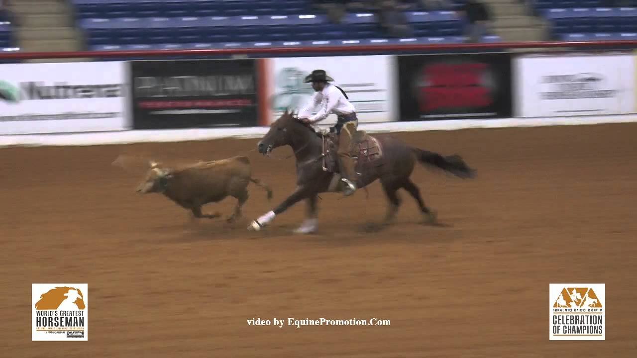 SDP Blue Blood Ridden By Matt Koch 2015 NRCHA Celebration Of Sdp blue blood ridden by matt koch 2015 nrcha celebration of