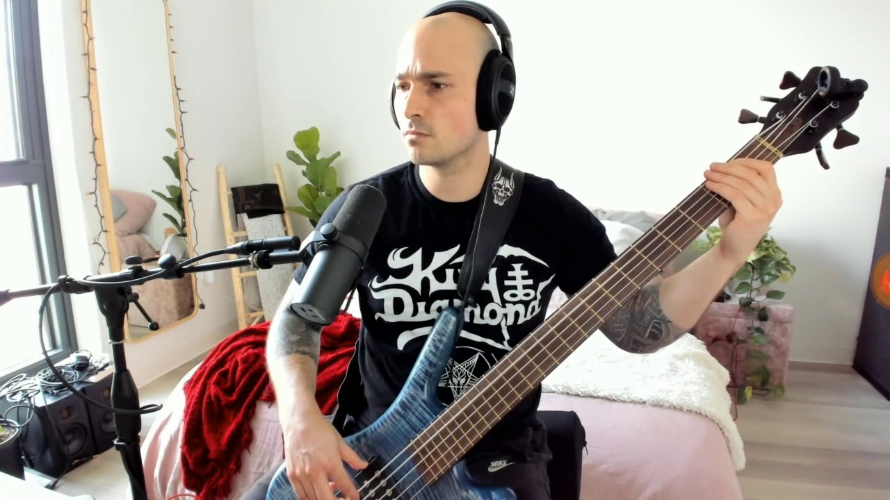 "Bleed into me" Official bass play through.