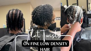 Twist-Out on Fine Low Density NaturalHair