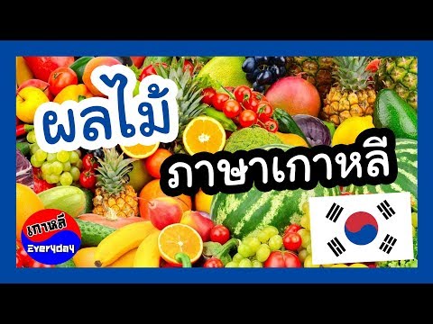 คำศัพท์ภาษาเกาหลี หมวดผลไม้ (과일) | เกาหลี Everyday | 까우리 에브리데이