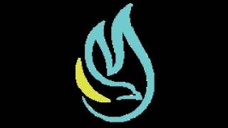 Pastoor Desmond Wessels: Die betroubare Woord.