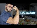 3700 Calorie Lean Bulking Diet (Road To 212 lbs)