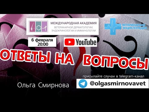 Ответы на вопросы. Выпуск от 6.02.2024