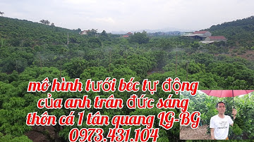 mộ hình tưới béc tự động. của anh trần đức sáng -cá1-tân quang-LG-BG